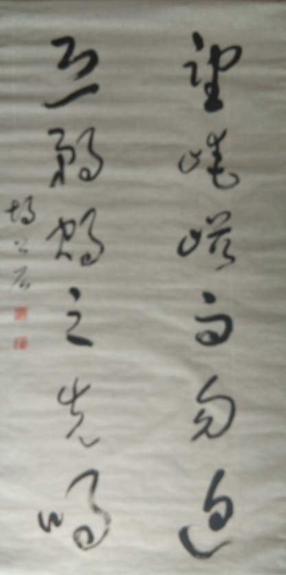 鷨